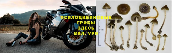 ешки Гусев