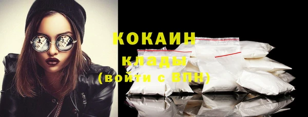ешки Гусев