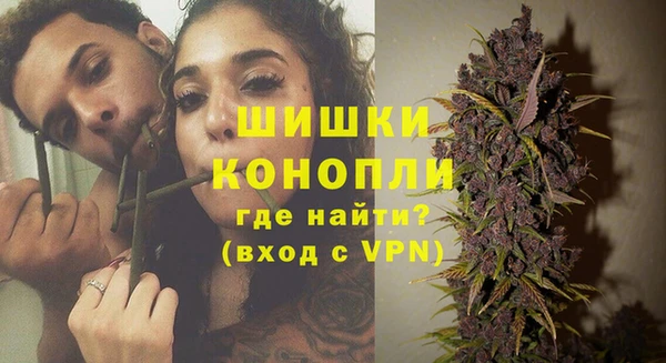дурь Гусиноозёрск