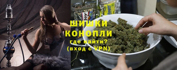 ешки Гусев