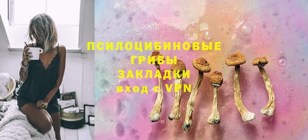 ешки Гусев