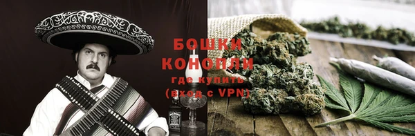 дурь Гусиноозёрск