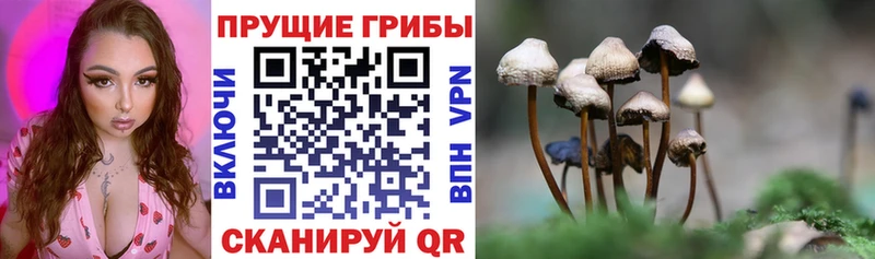 Галлюциногенные грибы мицелий Купить закладки Комсомольск